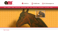 Desktop Screenshot of amsconservation.com