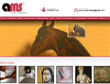 Tablet Screenshot of amsconservation.com